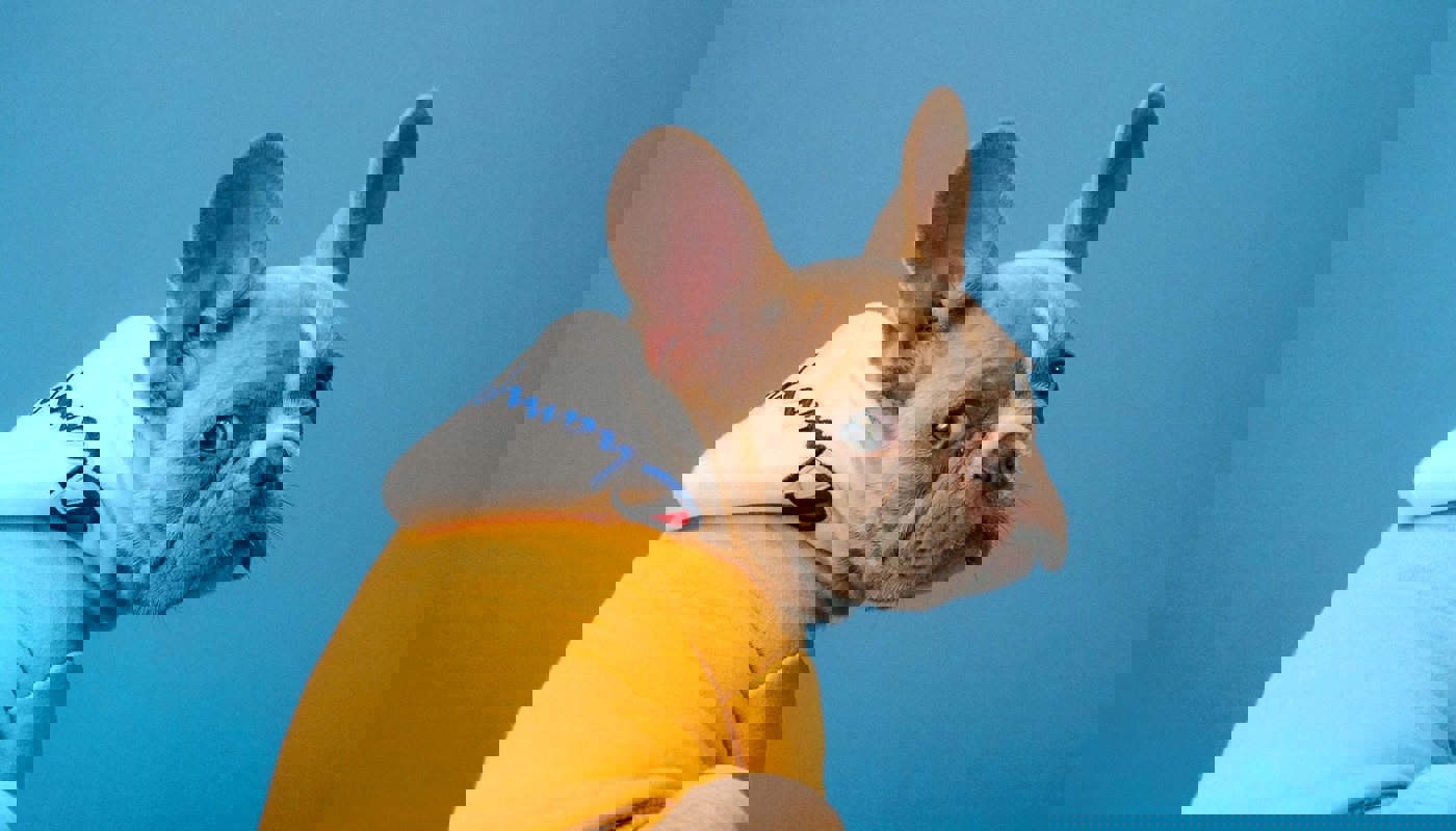 Karsten Winegeart Ou6kztxhuvk Unsplash