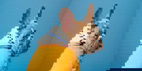 Karsten Winegeart Ou6kztxhuvk Unsplash